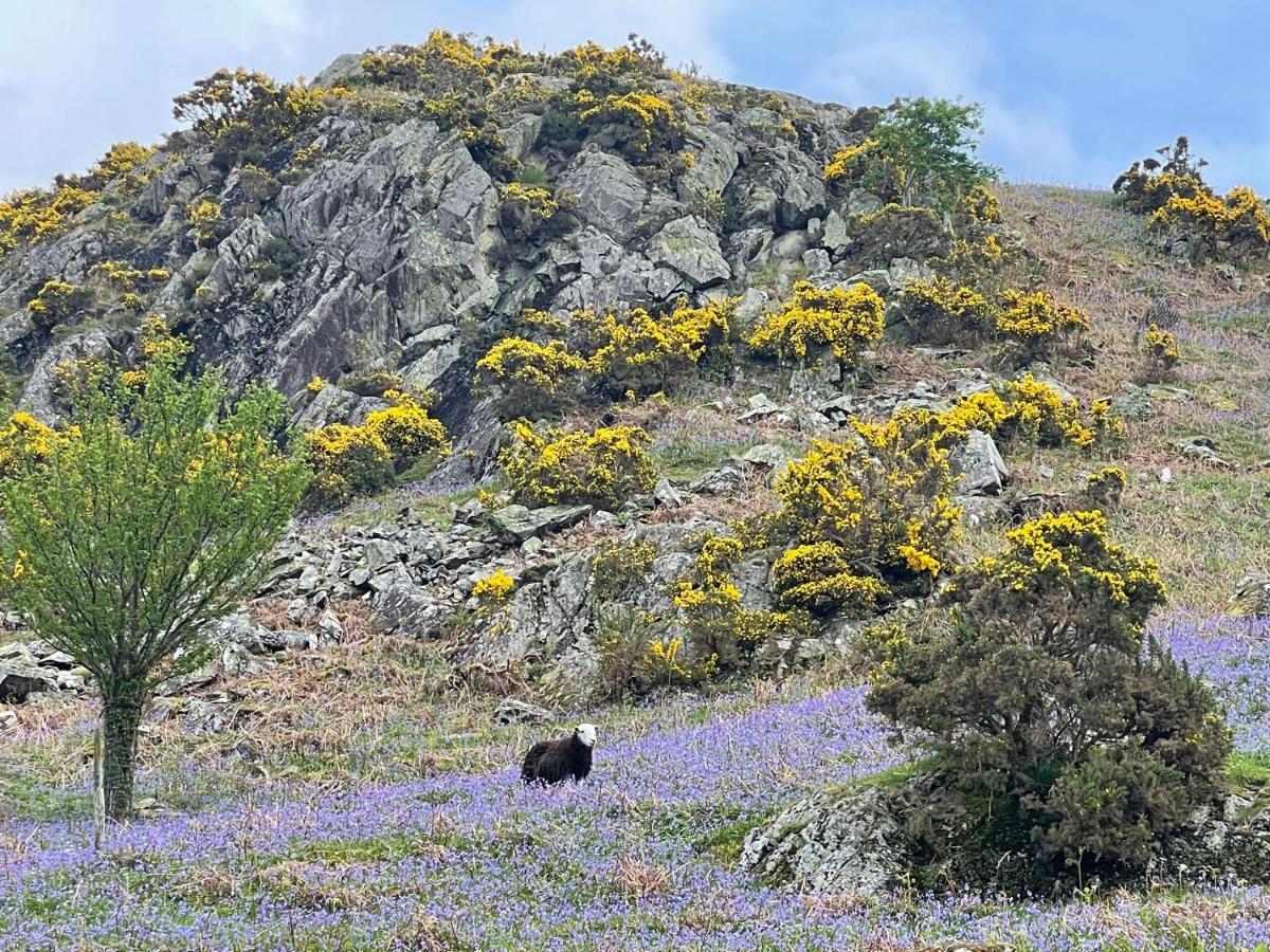 Robinsons Cottage, Central And Quiet Cockermouth Εξωτερικό φωτογραφία